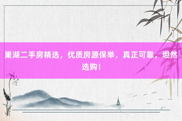巢湖二手房精选，优质房源保举，真正可靠，坦然选购！