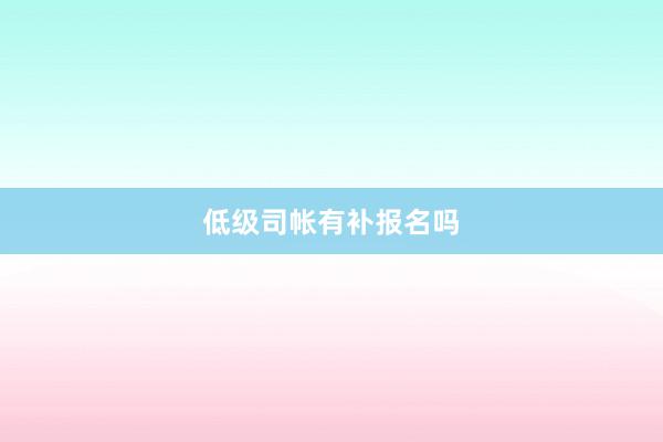 低级司帐有补报名吗
